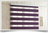 Six Line Zebra Blinds